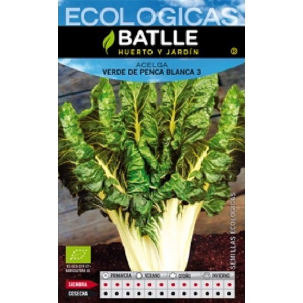 acelgaverdepencaancha_agrogarden