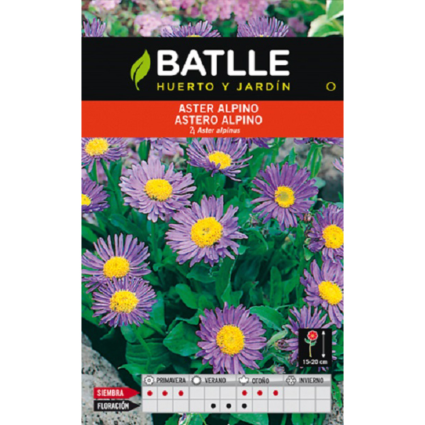 asteralpino_agrogarden