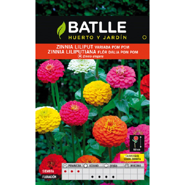 zinnialiliput_agrogarden