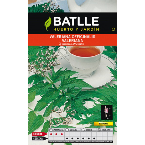 valeriana_agrogarden