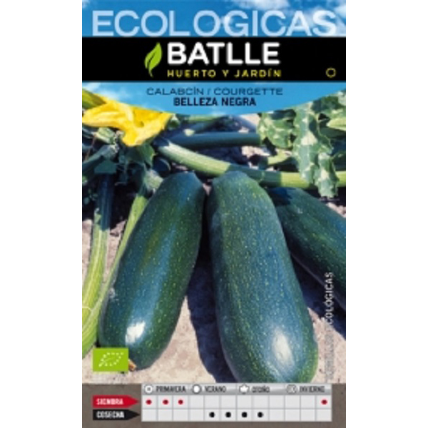 calabacinbellezanegra_agrogarden