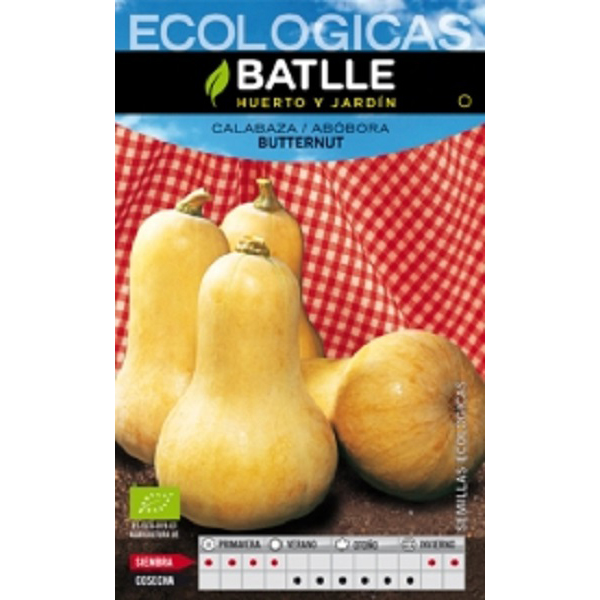 calabazabuttenut_agrogarden