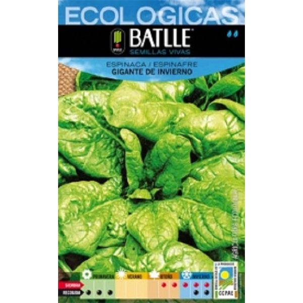 espinacagigantedeinvierno_agrogarden